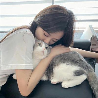 格桑花开的时候 封面