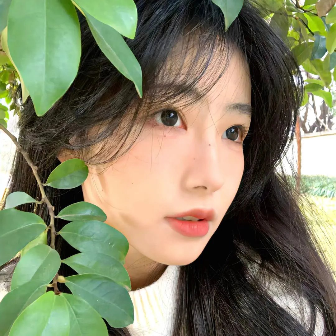 一周的偶像 封面